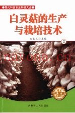 白灵菇的生产与栽培技术  2