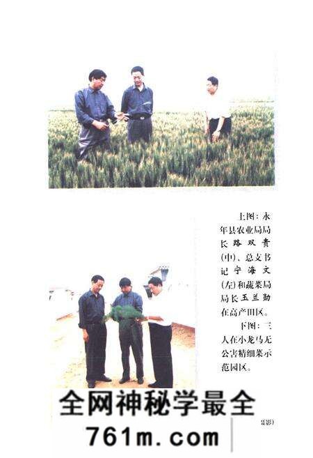 《永年百年大事志(1901-2000)》.pdf电子版_河北省志预览图3