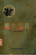 犊牛培育
