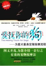 爱抚你的狗  为爱犬量身定做按摩流程