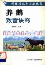 养鹅致富诀窍