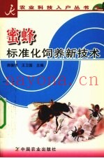 蜜蜂标准化饲养新技术
