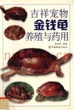 吉祥宠物金钱龟养殖与药用