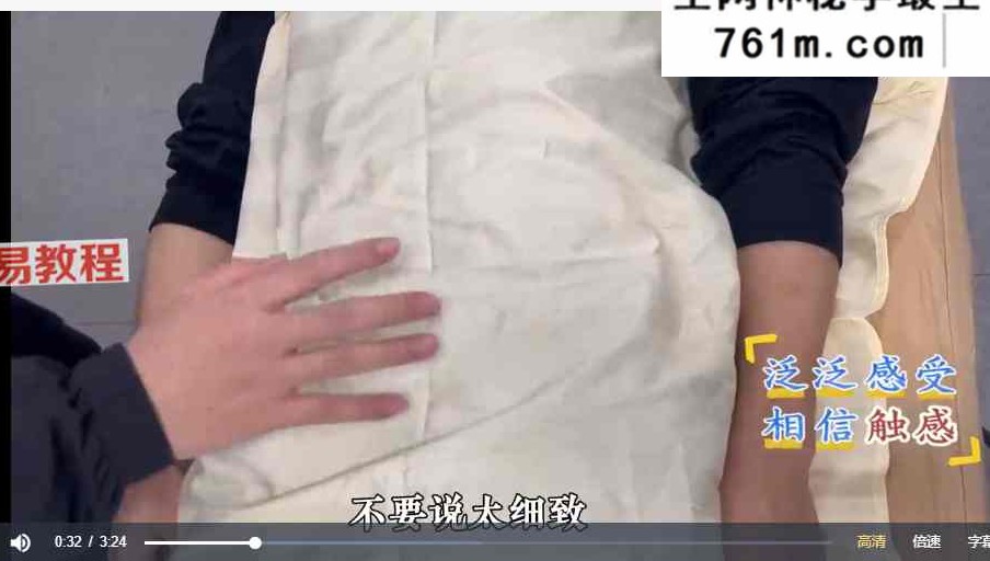 南岛内家脏腑按摩训练营 理筋术+理论+实操课 视频89集