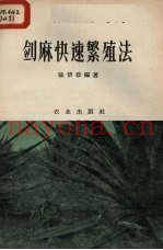 剑麻快速繁殖法