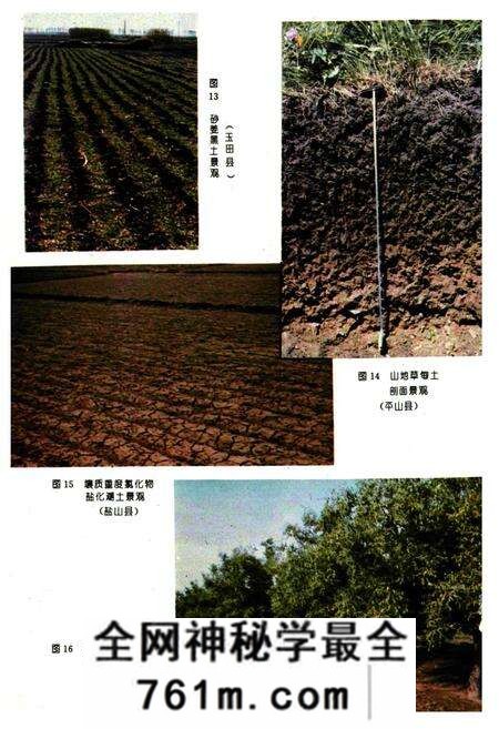 《河北土种志》.pdf电子版_河北省志预览图5