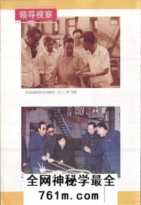 《南阳市防爆电机厂志》.pdf电子版_河南省志预览图4