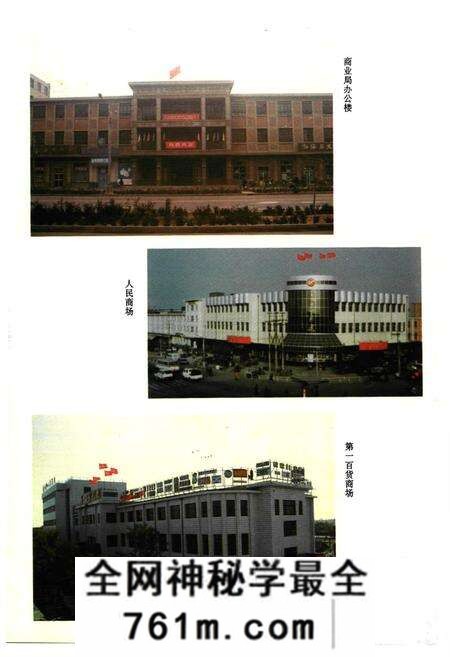 《沧州市商业志》.pdf电子版_河北省志预览图4