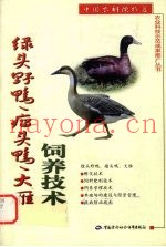 绿头野鸭、瘤头鸭、大雁饲养技术