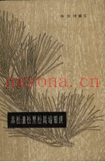 赤松油松黑松栽培知识