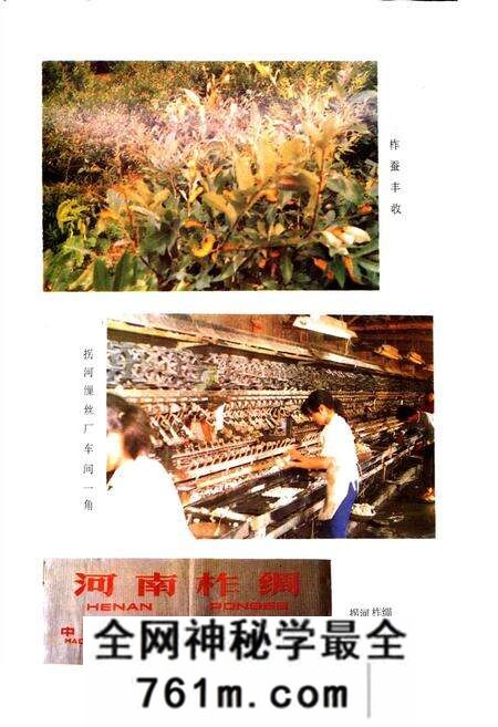 《方城县经贸志》.pdf电子版_河南省志预览图5