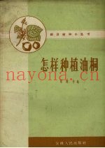 怎样种植油桐