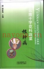 云南十字花科蔬菜根肿病