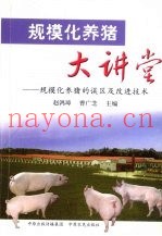 规模化养猪大讲堂  规模化养猪的误区及改进技术