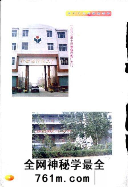 《开封油脂化工厂厂志》.pdf电子版_河南省志预览图4