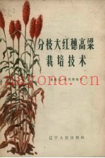 分枝大红穗高粱栽培技术
