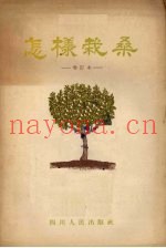 怎样栽桑