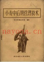 小麦中后期管理技术