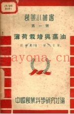 薄菏栽培与蒸油