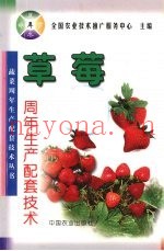 草莓周年生产配套技术