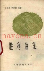 胜利油菜
