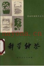 科学种茶