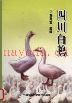 四川白鹅