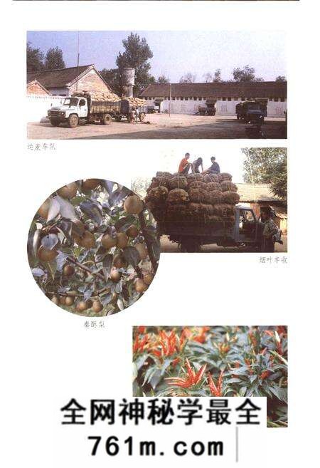 《源潭镇志》.pdf电子版_河南省志预览图4