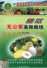 甜瓜无公害高效栽培