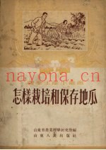 怎样栽培和保存地瓜