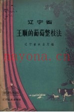 辽宁省王顺的葡萄整枝法
