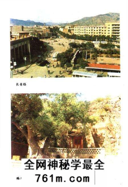 《张家口市风物志》.pdf电子版_河北省志预览图5