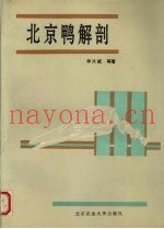 北京鸭解剖
