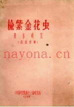 榆紫金花虫初步研究