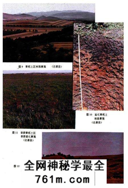 《河北土种志》.pdf电子版_河北省志预览图4