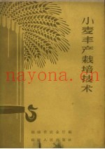 小麦丰产栽培技术