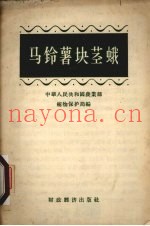 马铃薯块茎蛾