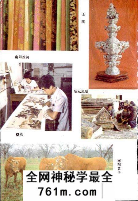 《南阳地区经贸志》.pdf电子版_河南省志预览图5 《南阳地区经贸志》.pdf电子版_河南省志预览图5
