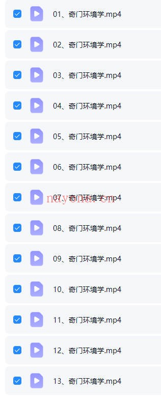 宫廷派奇门遁甲徐老师奇门环境堪舆学13集视频