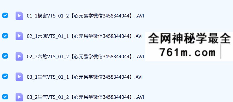 许义豪 数字能量 视频+资料