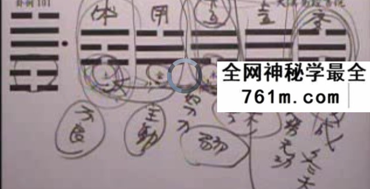 颜仕（林武樟）梅花心易占卜执业课 4套合集