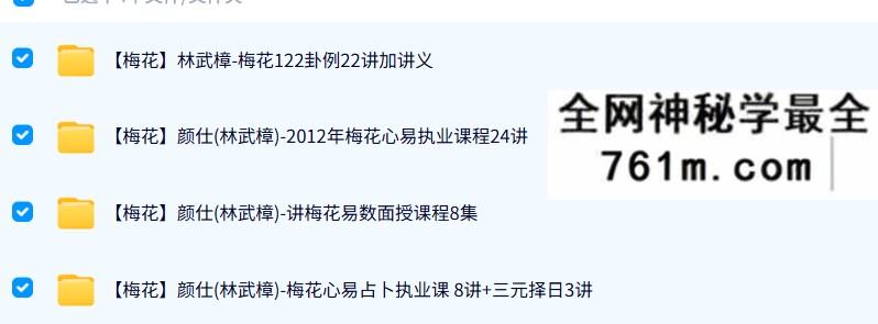 颜仕（林武樟）梅花心易占卜执业课 4套合集