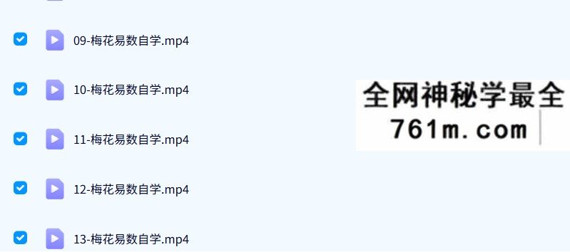 孙福来梅花易数自学(26集)
