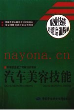 汽车美容技能