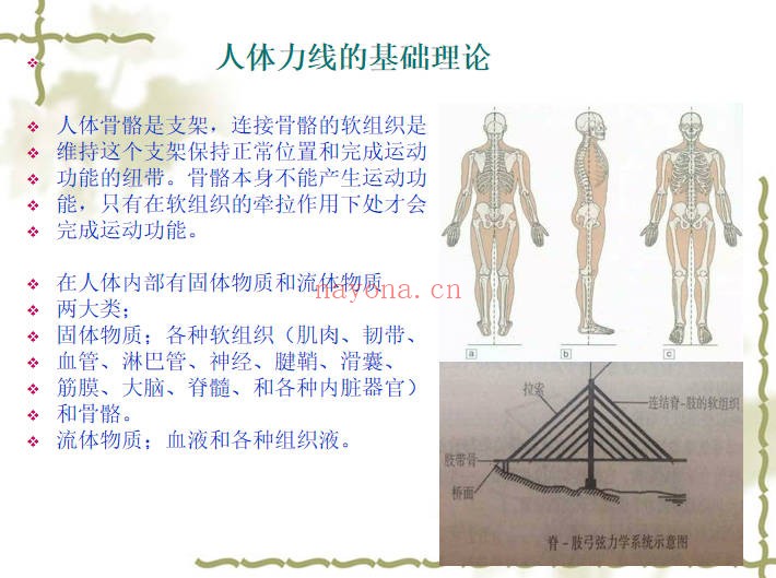 道医宋瑞玄宗一指寻根术3集11小时视频+课件