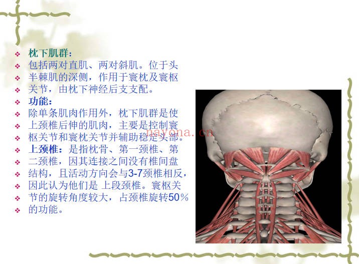 道医宋瑞玄宗一指寻根术3集11小时视频+课件