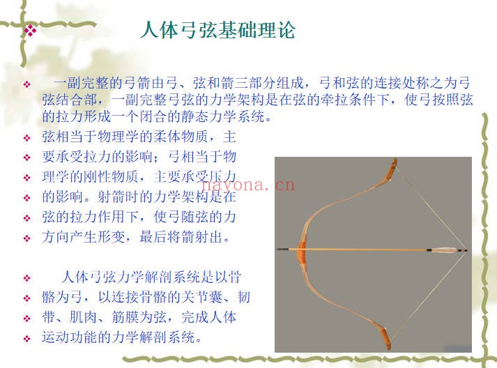 道医宋瑞玄宗一指寻根术3集11小时视频+课件