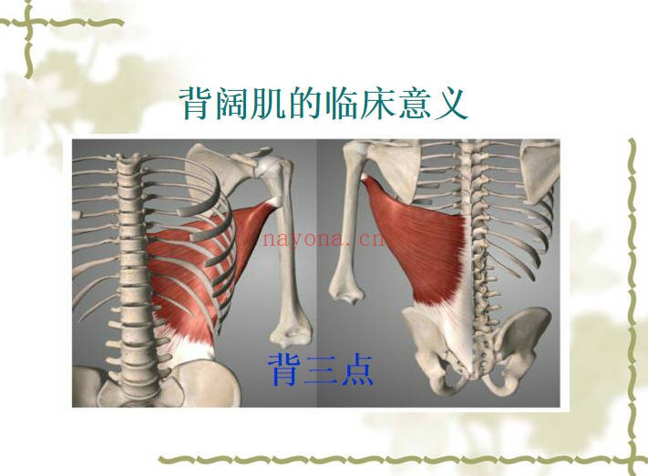 道医宋瑞玄宗一指寻根术3集11小时视频+课件