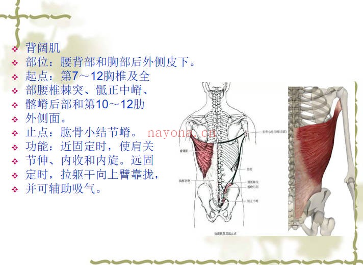 道医宋瑞玄宗一指寻根术3集11小时视频+课件