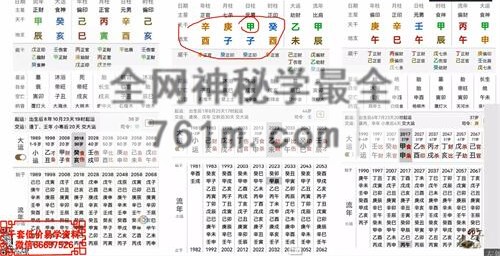 E445卯丁盲派八字高级班视频8集